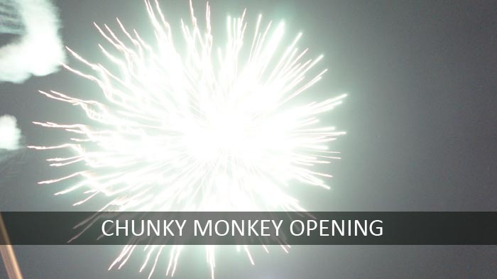 Fireworks Display