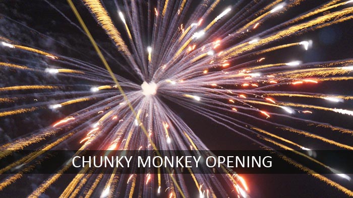 Fireworks Display